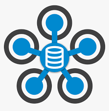 Custom Data Solutions Icon